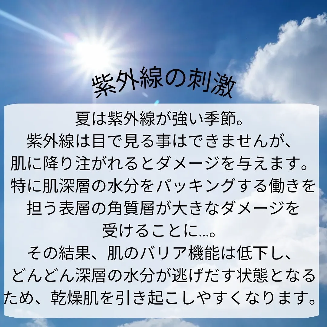 夏のスキンケアの重要性💡✨