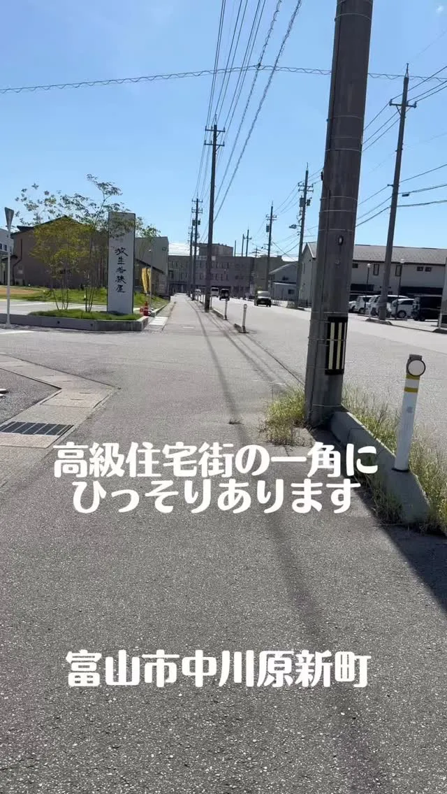 今日は、癒しと笑顔があふれる